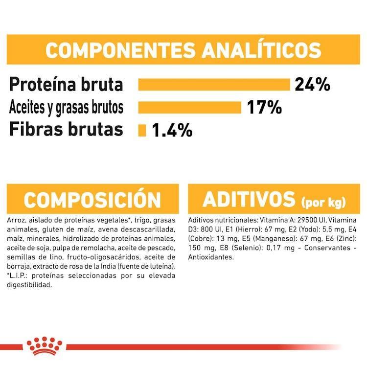 Royal Canin - Perros Adultos Medianos - Dermacomfort