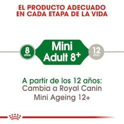 Royal Canin - Perros Adultos +8 Pequeños