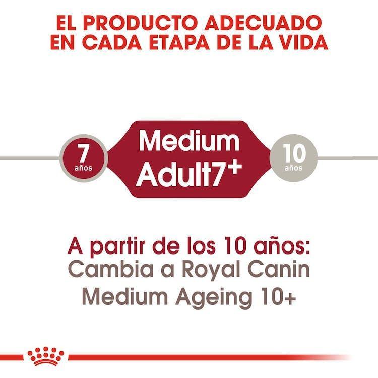 Royal Canin - Perros Adultos 7+ Medianos