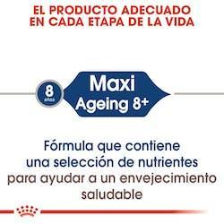 Royal Canin - Perros Grandes Ageing +8 - Pouch