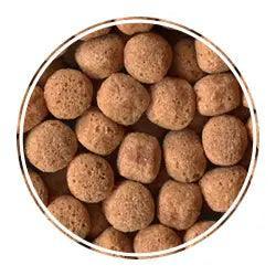 Labcon Club - Aves Alimento Tucanes