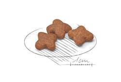 Royal Canin - Perros Adultos +8 Pequeños