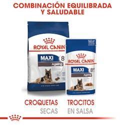 Royal Canin - Perros Grandes Ageing +8 - Pouch