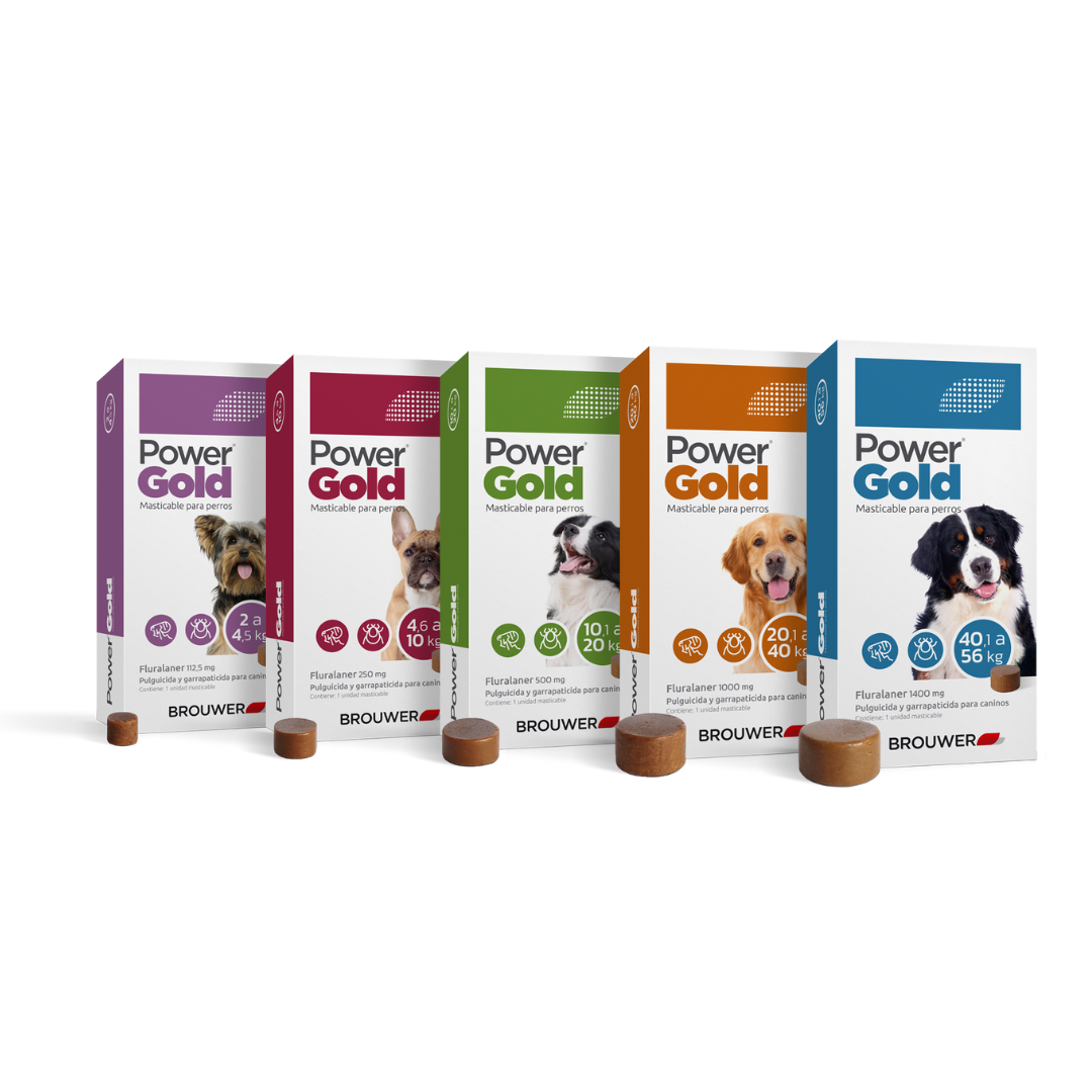 Brouwer - Power Gold Antiparasitario