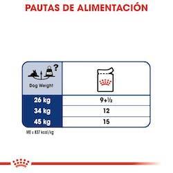 Royal Canin - Perros Grandes Ageing +8 - Pouch