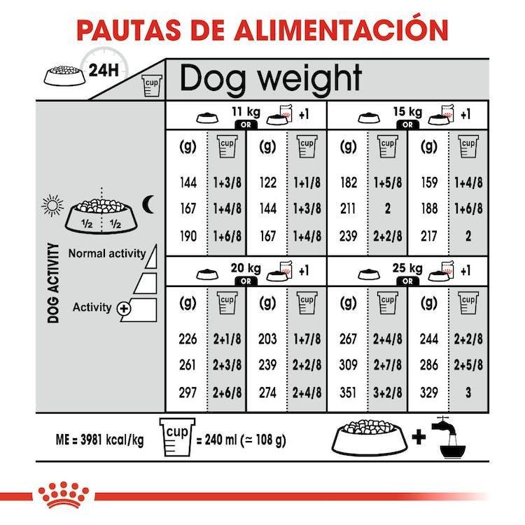 Royal Canin - Perros Adultos Medianos - Dermacomfort