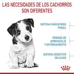 Royal Canin - Perros Cachorros Pequeños - Paté