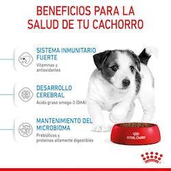 Royal Canin - Perros Cachorros Pequeños - Paté