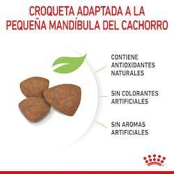 Royal Canin - Perros Cachorros Pequeños - Paté