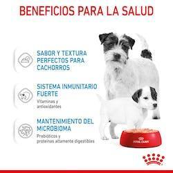 Royal Canin - Perros Cachorros Starter - Paté