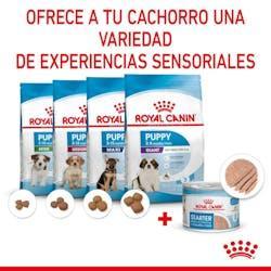 Royal Canin - Perros Cachorros Starter - Paté