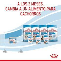Royal Canin - Perros Cachorros Starter - Paté