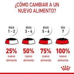Royal Canin - Perros Cachorros Starter - Paté