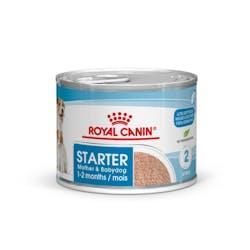 Royal Canin - Perros Cachorros Starter - Paté