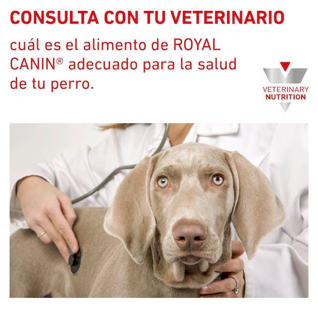 Royal Canin - Perros Adultos - Cuidado Hepático - Lata