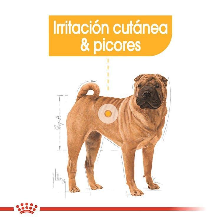 Royal Canin - Perros Adultos Medianos - Dermacomfort
