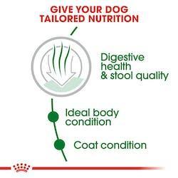 Royal Canin - Perros Adultos Pequeños Indoor