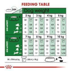 Royal Canin - Perros Adultos Pequeños Indoor