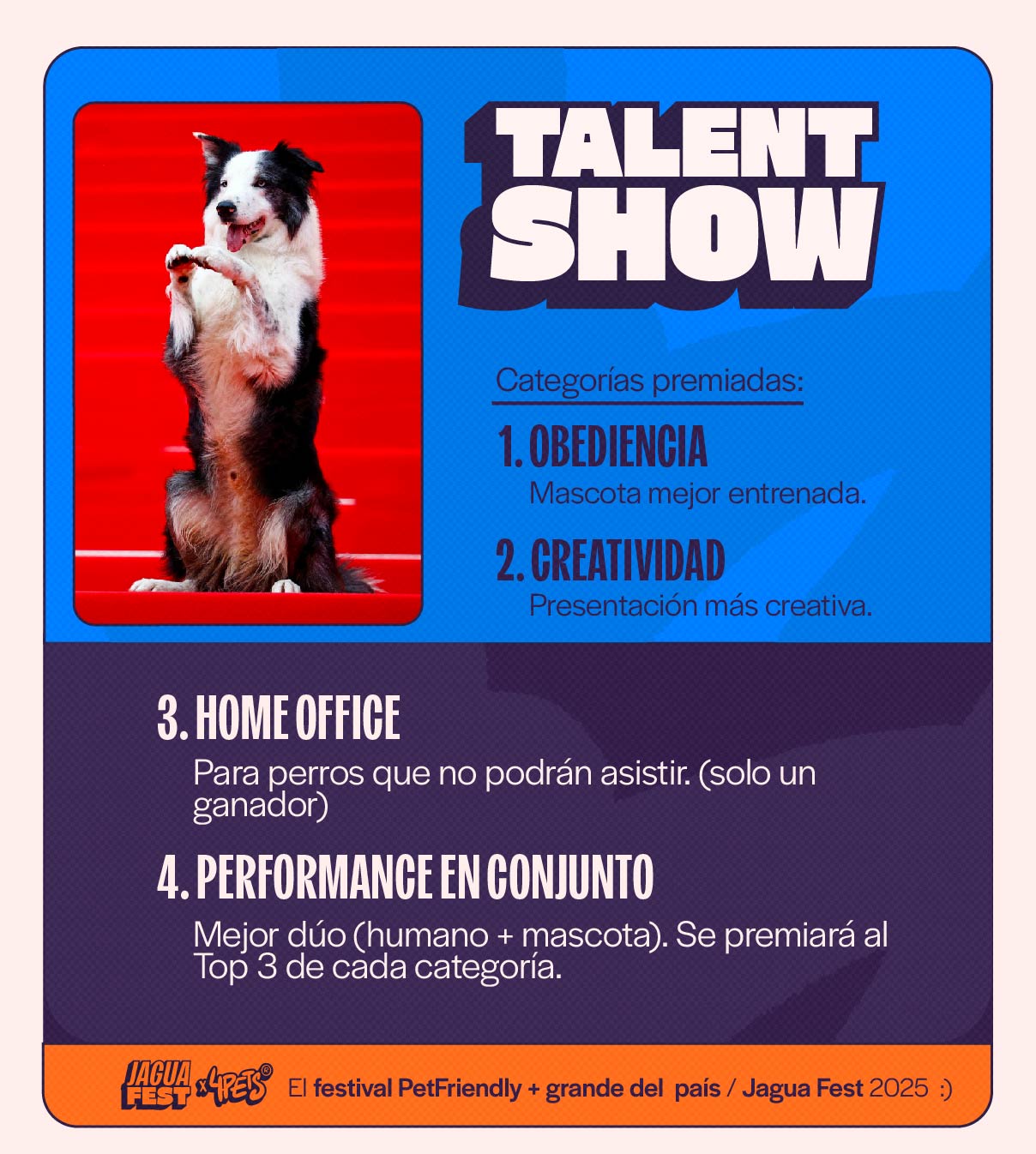 SHOW DE TALENTOS (INCLUYE ENTRADA HUMANA Y PERRUNA) - JAGUAFEST