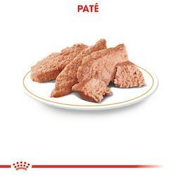 Royal Canin - Perros Adultos Yorkshire Paté