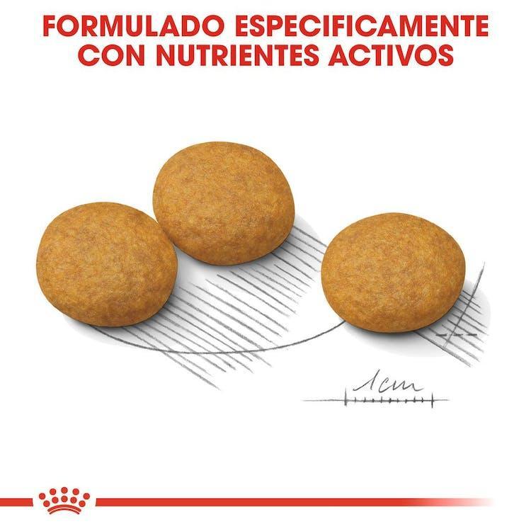 Royal Canin - Perros Adultos Medianos - Dermacomfort
