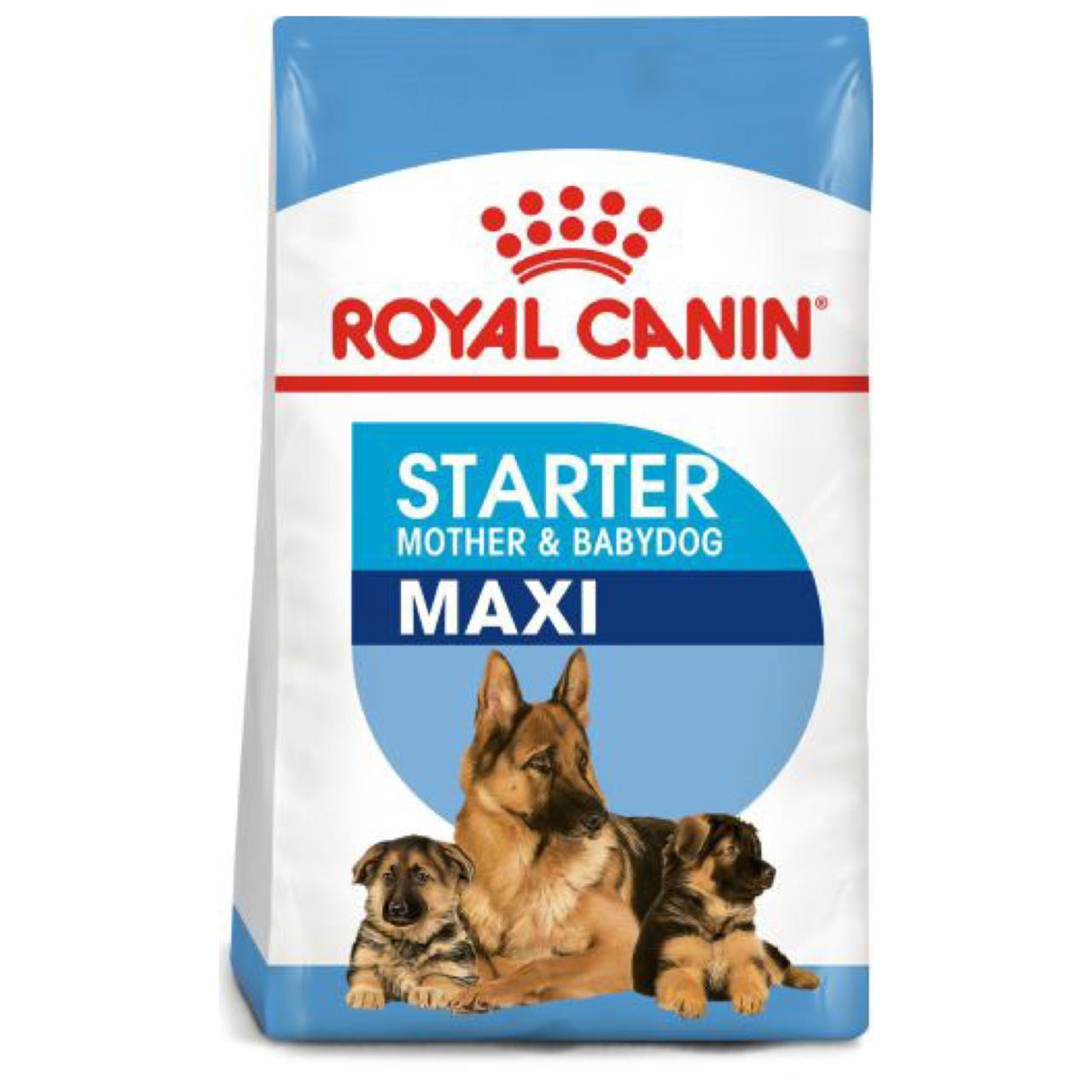 Rc maxi starter discount