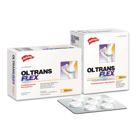 Holliday - Perros Ol-Trans Flex