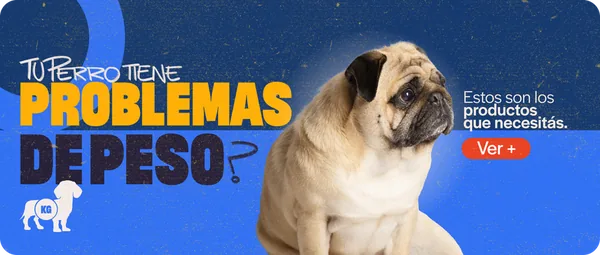 Problemas de peso