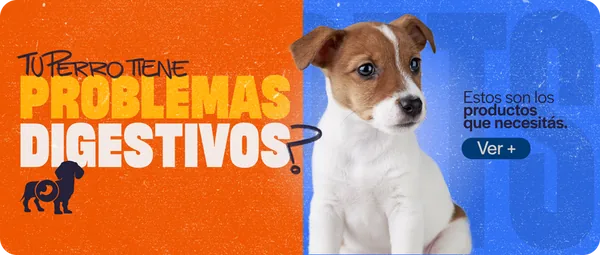 Problemas digestivos