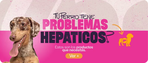 Hepáticos