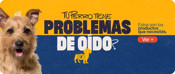 Problemas de oídos