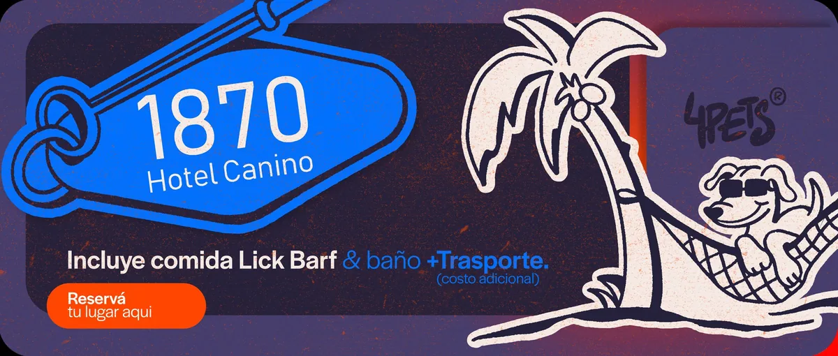 Hotel canino — Verano & Navidad