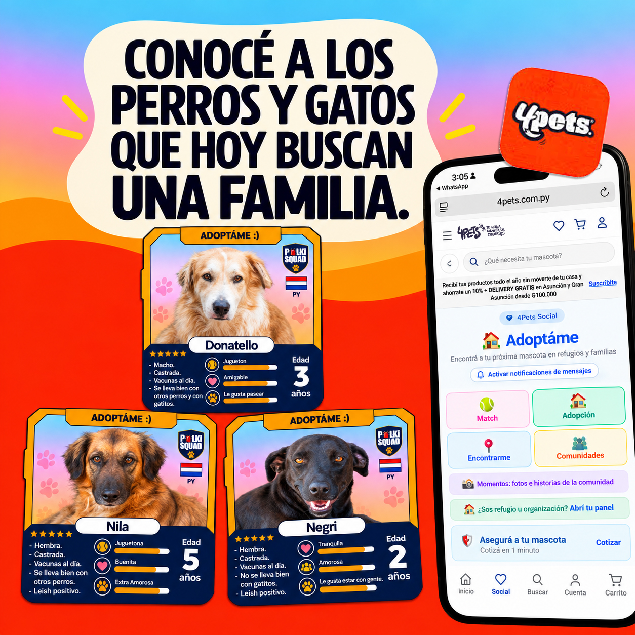 Conocé a los perros y gatos que hoy buscan una familia — Adóptame