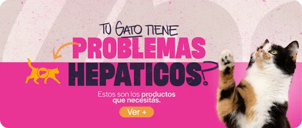 Hepático