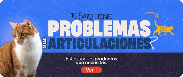 Articulaciones
