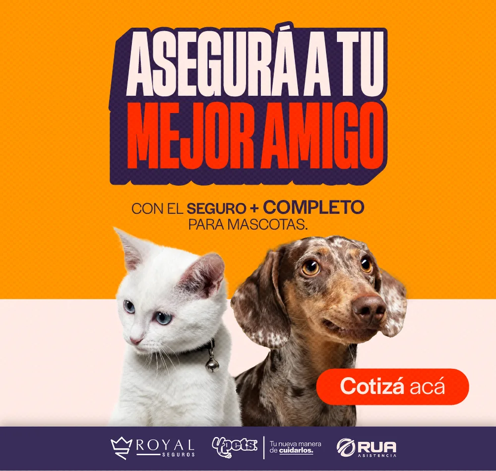 Descargá la app 4Pets