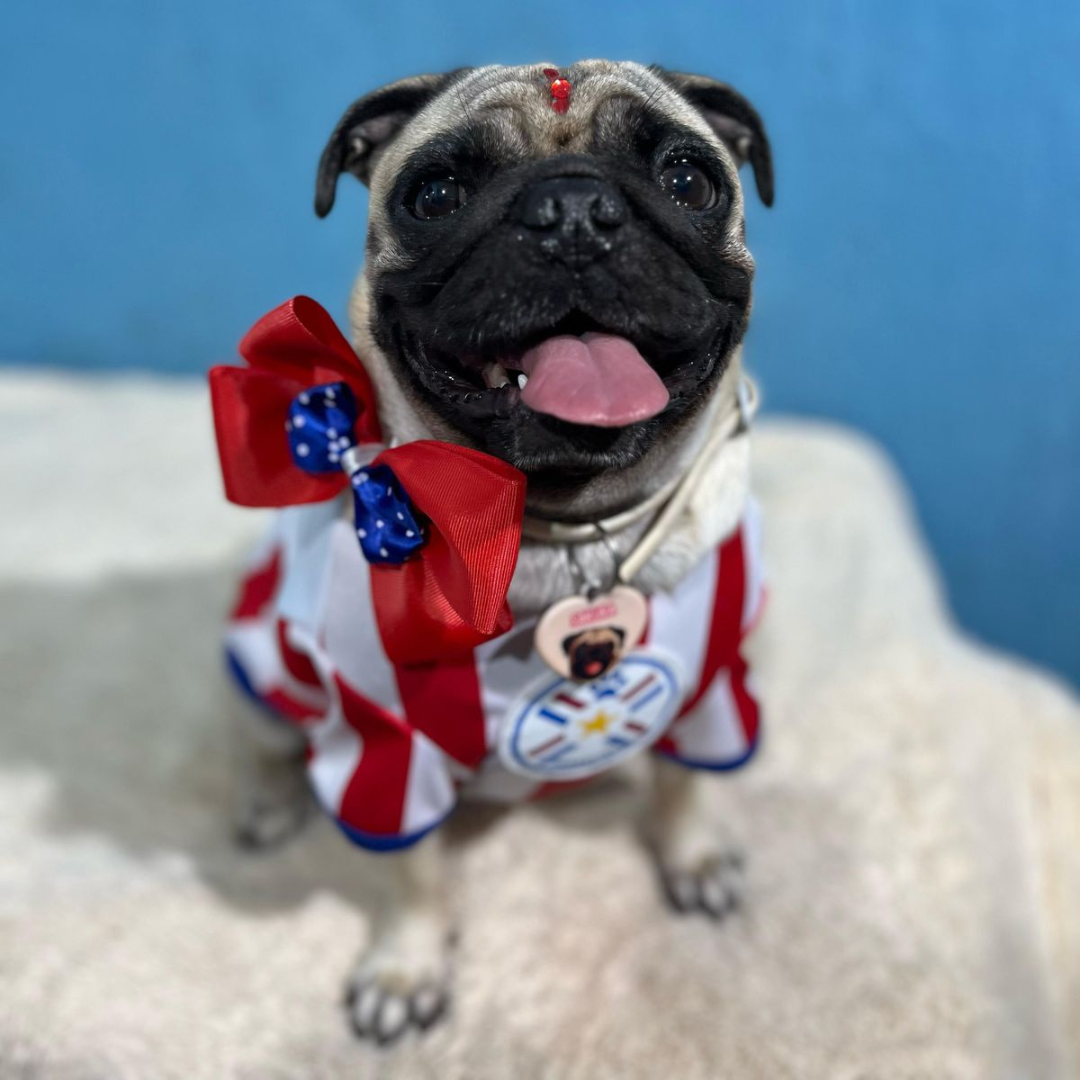 Wanchan - Remera Selección  - Bajo pedido