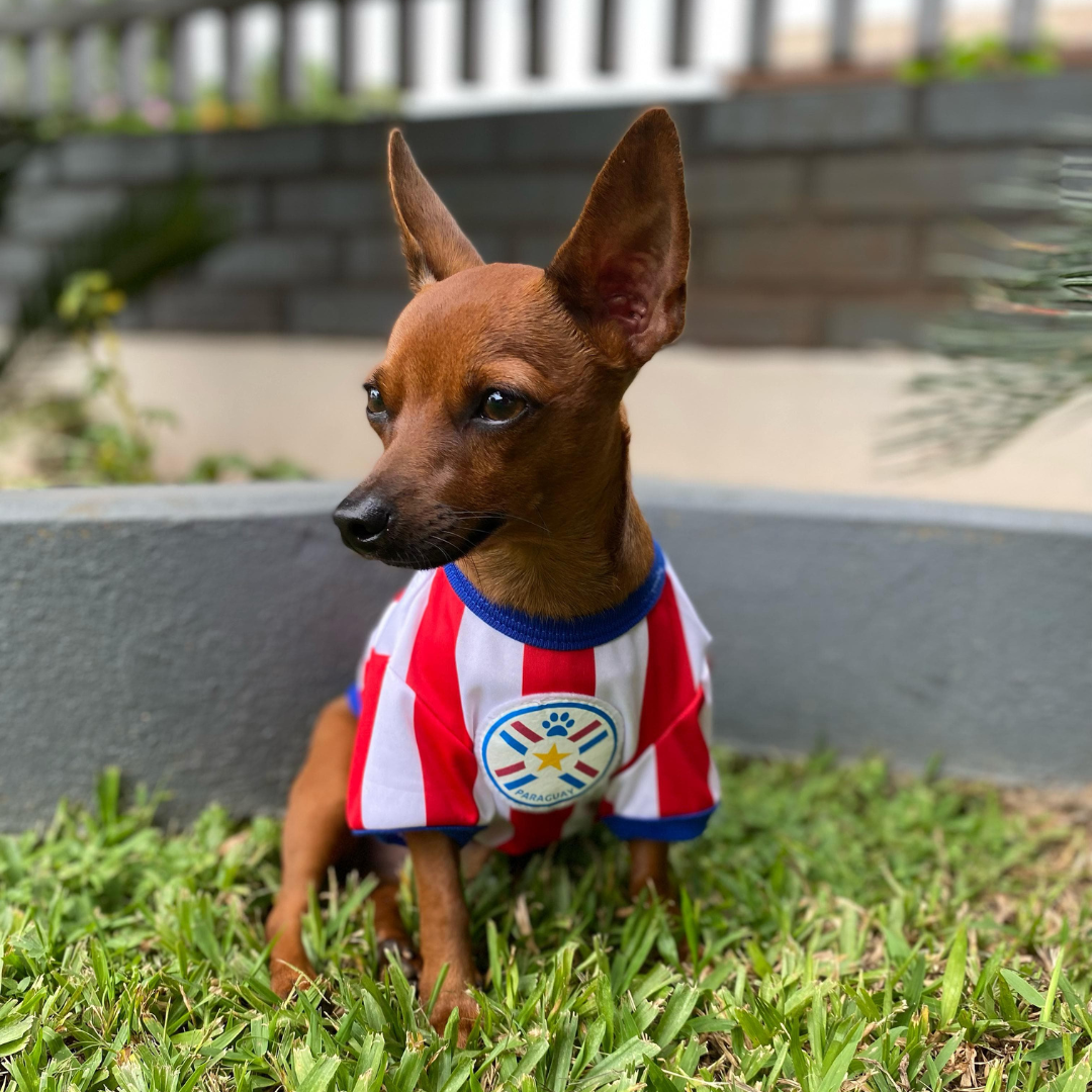 Wanchan - Remera Selección  - Bajo pedido