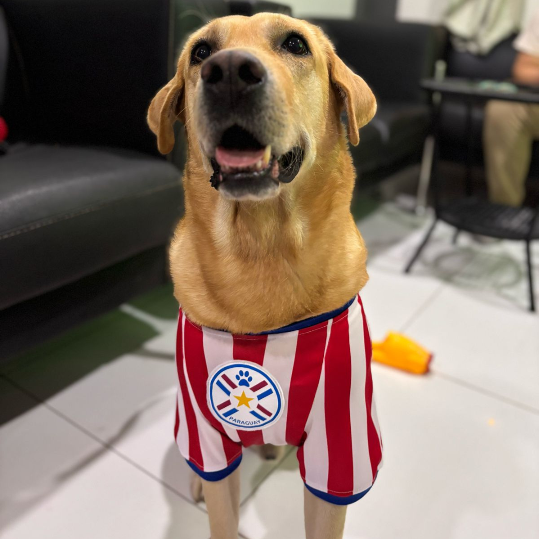 Wanchan - Remera Selección  - Bajo pedido