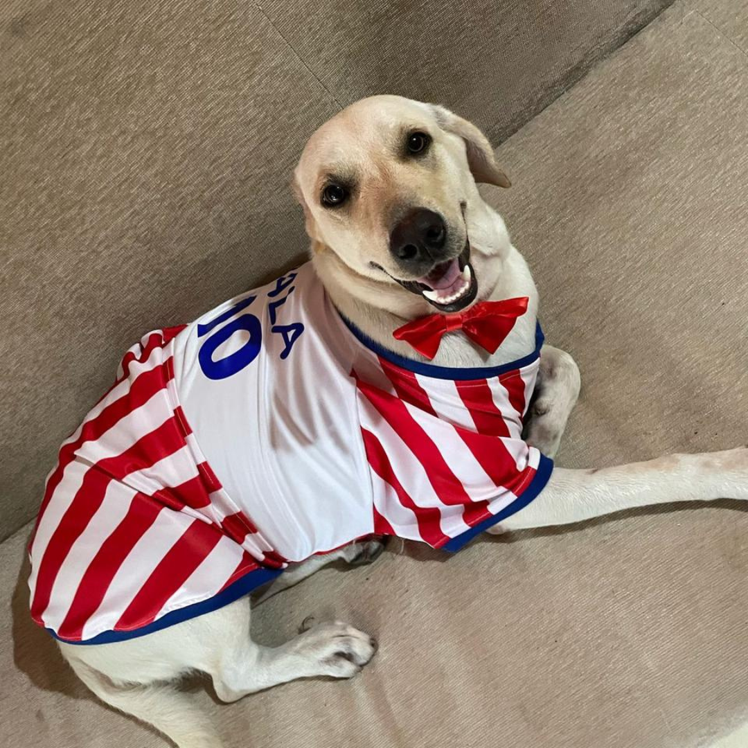 Wanchan - Remera Selección  - Bajo pedido