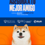 Categoría 2 C - Anual (Perro) - Shiba Inu