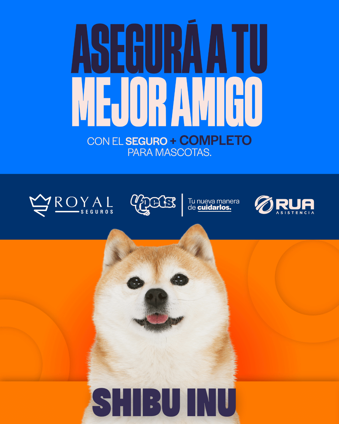 Categoría 2 C - Anual (Perro) - Shiba Inu