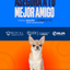 Categoría 1 C - Anual (Perro) - Chihuahua