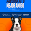 Categoría 3 A - Anual (Perro) - Boston Terrier