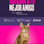 Categoría 2 C - Anual (Gato) - Abisinio