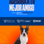 Categoría 3 B - Anual (Perro) - Boston Terrier