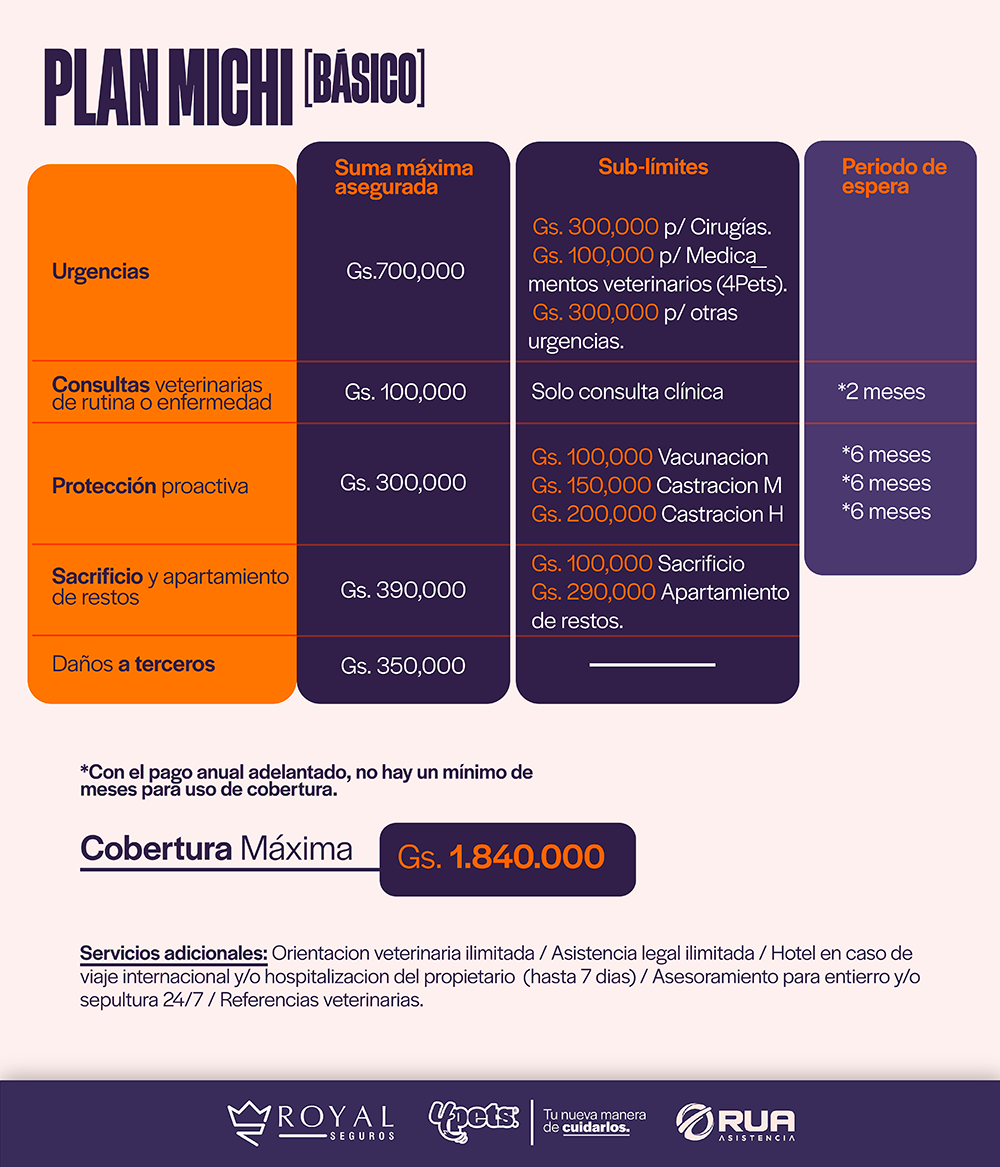 Categoría 1 C - Anual (Gato)  - Cruza/Mestizo