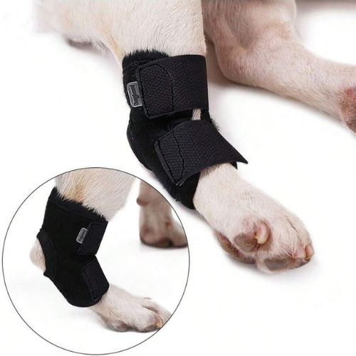 Soporte para Rodilla