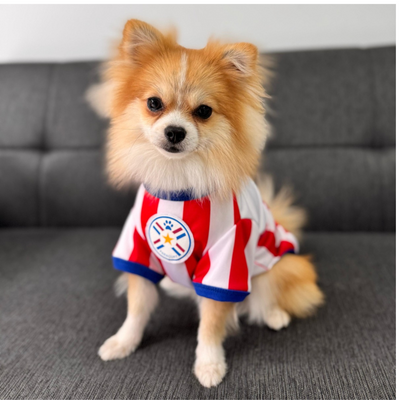 Wanchan - Remera De Seleccion Paraguay