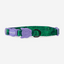 Zeecat - Gatos Collar - Hulk
